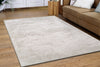 Dynamic Rugs Atlas 2574 Ivory/Grey Area Rug Room Scene Feature