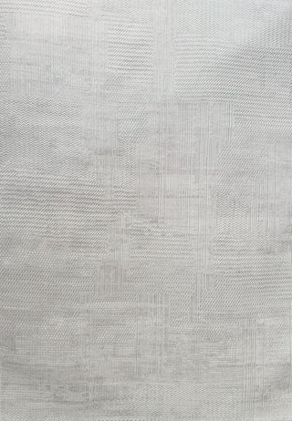 Dynamic Rugs Atlas 2582 Beige/Grey Area Rug main image