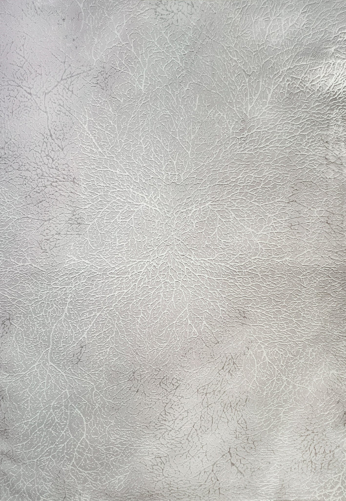 Dynamic Rugs Atlas 2584 Beige/Grey Area Rug main image