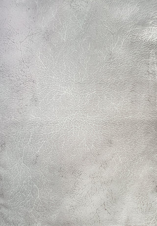 Dynamic Rugs Atlas 2584 Beige/Grey Area Rug main image