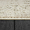 Dynamic Rugs Bailey 3882 Beige/Ivory/Grey Area Rug