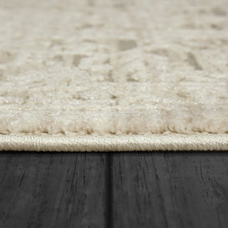 Dynamic Rugs Bailey 3882 Beige/Ivory/Grey Area Rug