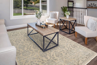 Dynamic Rugs Bailey 3883 Beige/Grey Area Rug Room Scene Feature