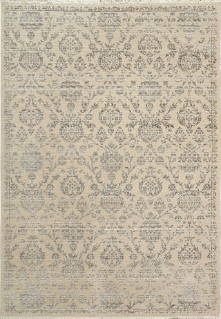 Dynamic Rugs Bailey 3883 Beige/Grey Area Rug