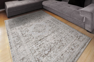 Dynamic Rugs Bliss 17580 Beige/Grey Area Rug Room Scene Feature