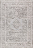 Dynamic Rugs Bliss 17580 Beige/Grey Area Rug main image