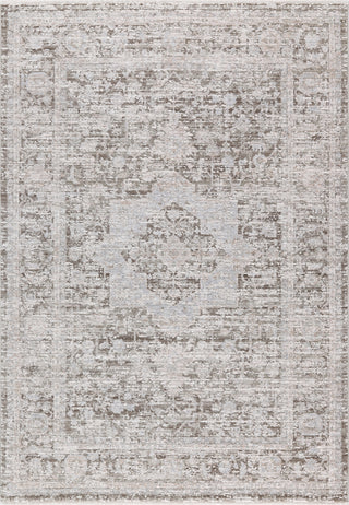 Dynamic Rugs Bliss 17580 Beige/Grey Area Rug main image