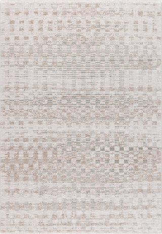 Dynamic Rugs Bliss 17581 Beige/Grey/Ivory Area Rug main image