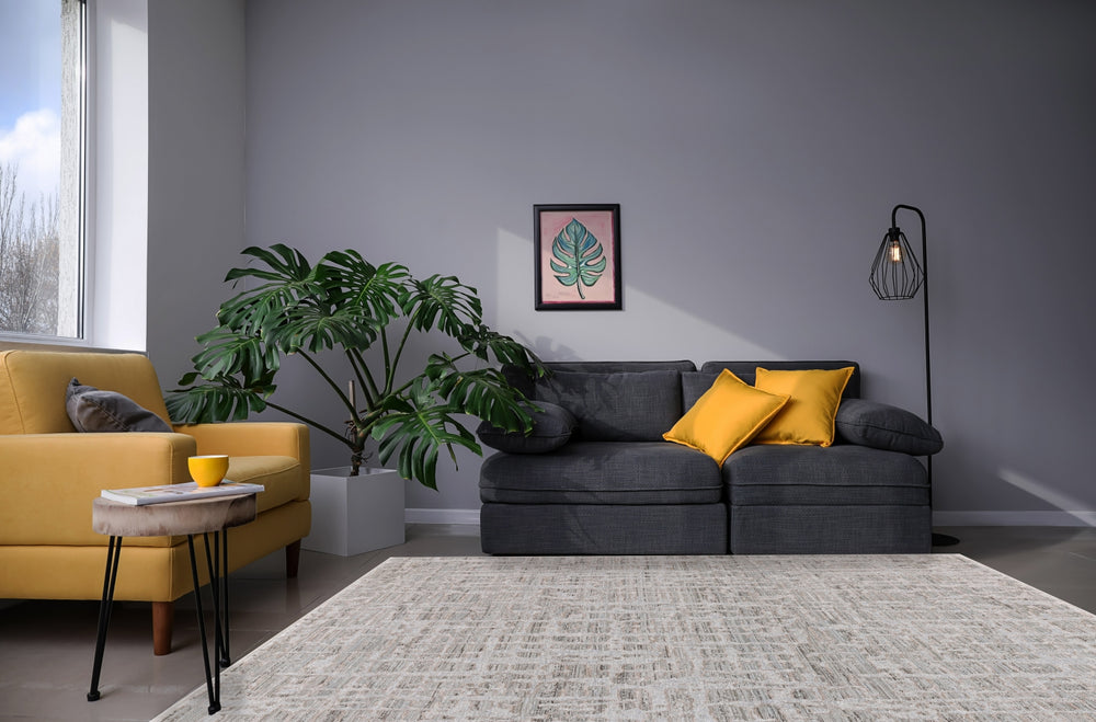 Dynamic Rugs Bliss 17582 Grey/Beige Area Rug Room Scene Feature