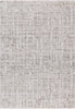 Dynamic Rugs Bliss 17582 Grey/Beige Area Rug main image