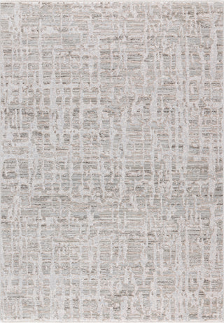 Dynamic Rugs Bliss 17582 Grey/Beige Area Rug main image