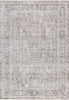 Dynamic Rugs Bliss 17587 Beige/Grey Area Rug main image