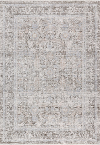 Dynamic Rugs Bliss 17587 Beige/Grey Area Rug main image