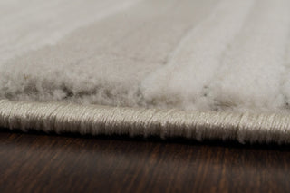 Dynamic Rugs Boutique 19480 Grey/Cream Area Rug Detail