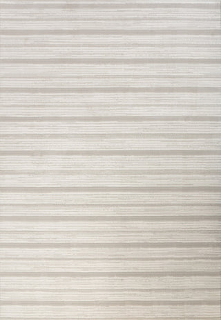 Dynamic Rugs Boutique 19480 Grey/Cream Area Rug main image