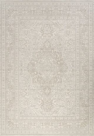 Dynamic Rugs Boutique 19482 Grey/Cream Area Rug main image