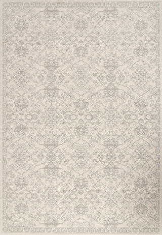 Dynamic Rugs Boutique 19483 Grey/Cream Area Rug main image