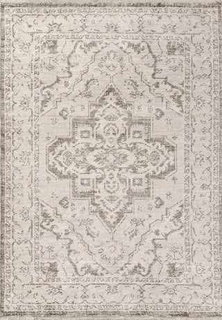 Dynamic Rugs Calypso 13500 Ivory/Grey Area Rug main image