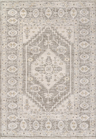 Dynamic Rugs Calypso 13501 Ivory/Grey Area Rug main image
