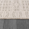 Dynamic Rugs Calypso 13502 Ivory/Grey Area Rug Detail
