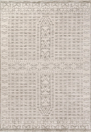 Dynamic Rugs Calypso 13502 Ivory/Grey Area Rug main image