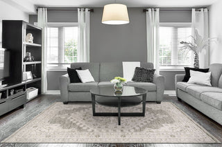 Dynamic Rugs Calypso 13503 Ivory/Grey Area Rug Room Scene Feature