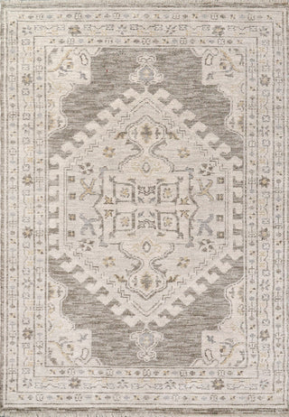 Dynamic Rugs Calypso 13503 Ivory/Grey Area Rug main image
