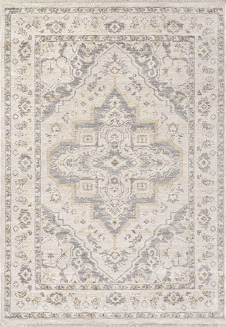 Dynamic Rugs Calypso 13504 Ivory/Grey Area Rug main image
