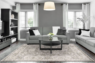 Dynamic Rugs Calypso 13505 Ivory/Grey Area Rug Room Scene Feature