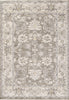 Dynamic Rugs Calypso 13505 Ivory/Grey Area Rug main image