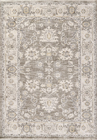 Dynamic Rugs Calypso 13505 Ivory/Grey Area Rug main image