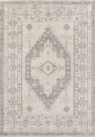 Dynamic Rugs Calypso 13506 Ivory/Grey Area Rug main image