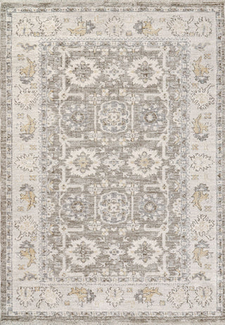 Dynamic Rugs Calypso 13507 Ivory/Grey Area Rug main image