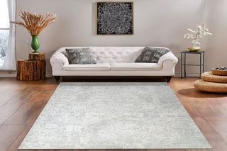 Dynamic Rugs Canyon 15472 Grey/Cream Area Rug Room Scene Feature