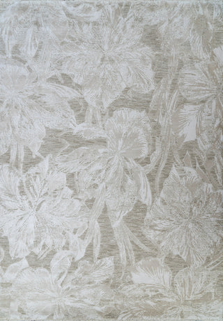 Dynamic Rugs Canyon 15474 Beige/Light Beige Area Rug main image