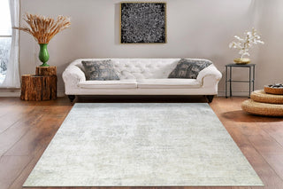 Dynamic Rugs Canyon 15476 Grey/Cream/Beige Area Rug Room Scene Feature