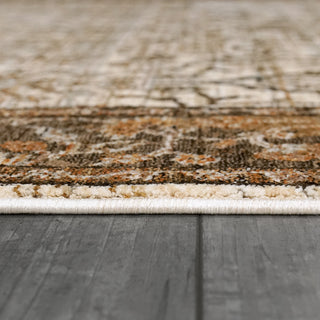 Dynamic Rugs Cullen 5702 Brown/Ivory Area Rug