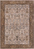 Dynamic Rugs Cullen 5702 Brown/Ivory Area Rug