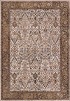 Dynamic Rugs Cullen 5702 Brown/Ivory Area Rug