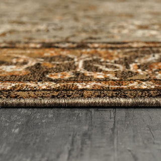 Dynamic Rugs Cullen 5705 Taupe/Brown Area Rug