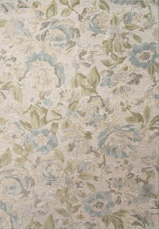Dynamic Rugs Daisy 9092 Sage/Multi Area Rug main image