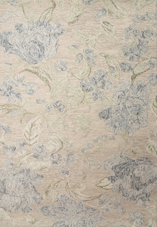 Dynamic Rugs Daisy 9096 Beige/Sage/Blue Area Rug main image