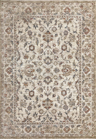 Dynamic Rugs Dakota 6640 Ivory/Multi Area Rug