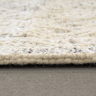 Dynamic Rugs Darcy 1124 Ivory/Taupe Area Rug