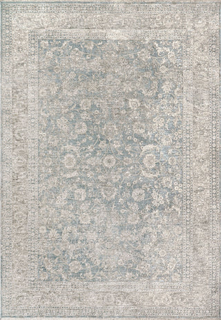 Dynamic Rugs Dharma 12040 Light Blue/Beige Area Rug main image