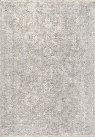 Dynamic Rugs Dharma 12041 Light Beige/Grey Area Rug main image
