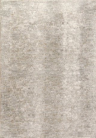 Dynamic Rugs Dharma 12043 Beige/Multi Area Rug main image