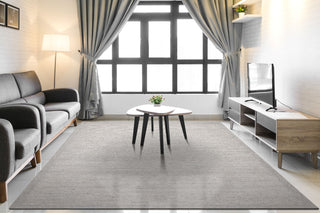 Dynamic Rugs Echo 8580 Light Beige Area Rug Room Scene Feature