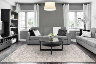 Dynamic Rugs Eclectic 6012 Cream/Grey Area Rug Room Scene Feature