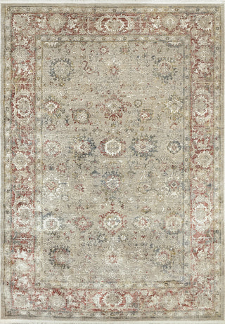 Dynamic Rugs Ella 3982 Taupe/Multi Area Rug